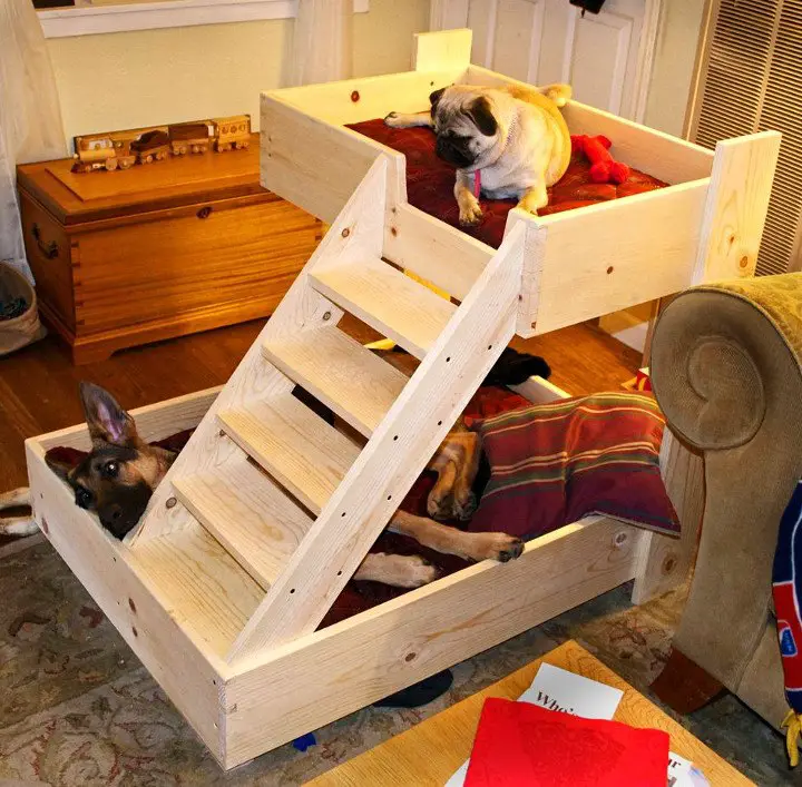 DIY Bunk Beds For Dogs