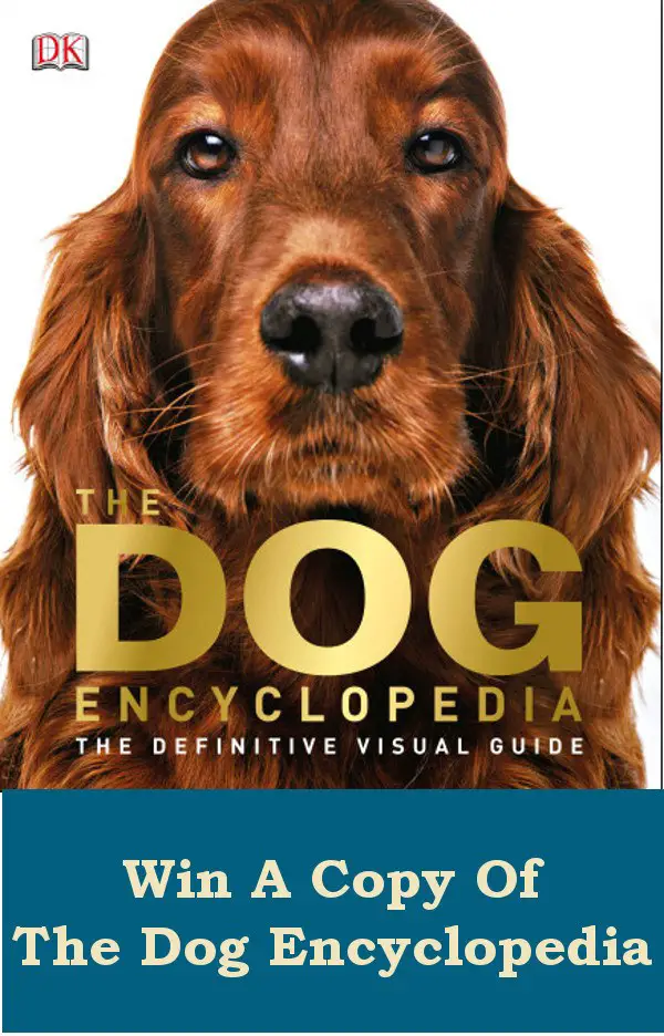 Win a Dog Book Win A Dog Book