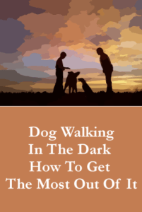 Dog Walking In The Dark - How To Get The Most Out Of It