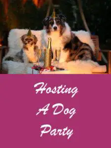 How to Host A Dog Party