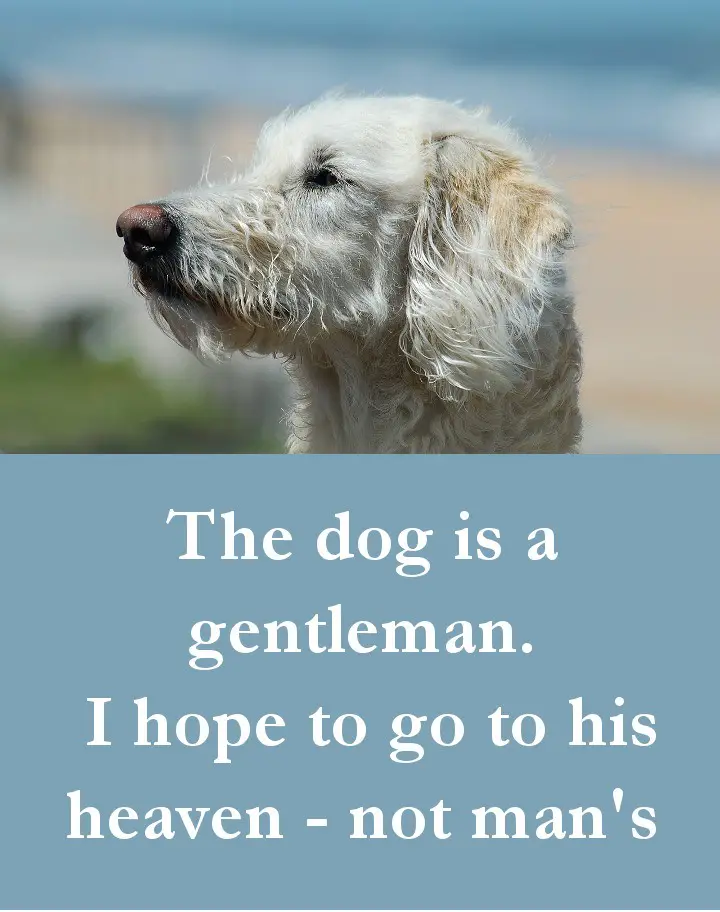 Dog Quotes - The dog is a gentleman. I hope to go to his heaven - not man's