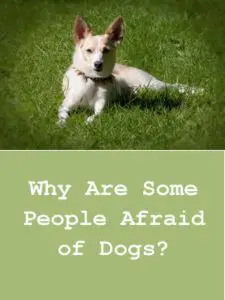 Why Are Some People Afraid Of Dogs?