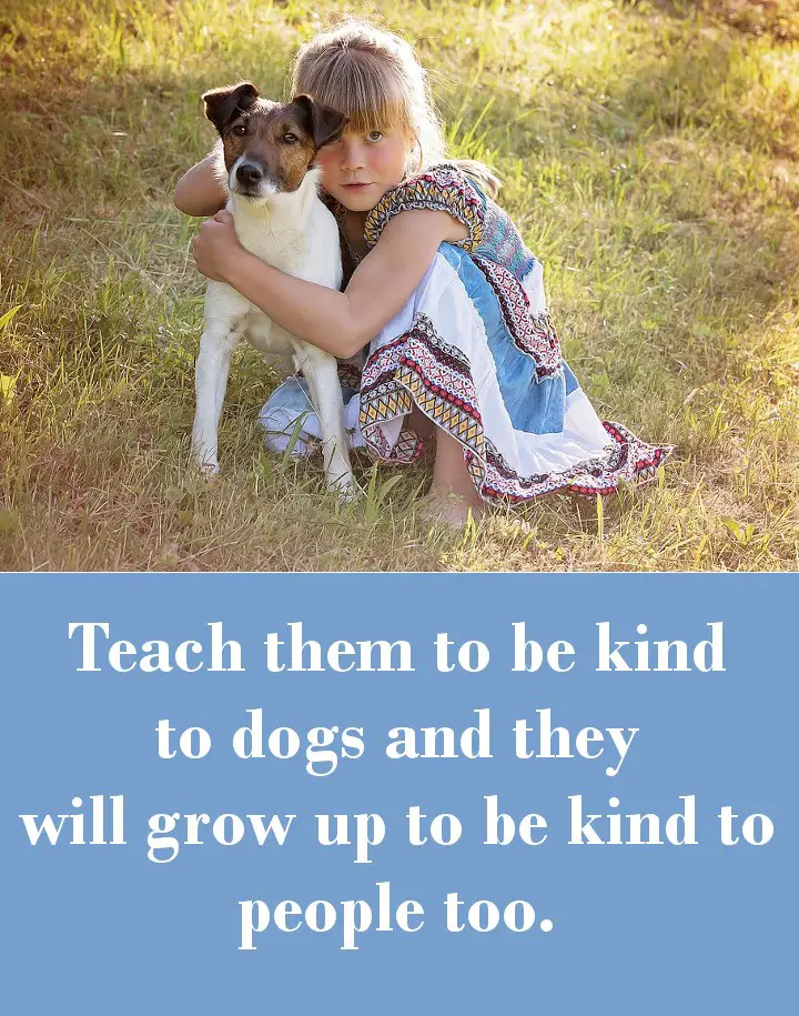 Teach them to be kind to dogs and they will grow up to be kind to people too.
