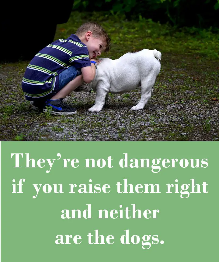 They’re not dangerous if you raise them right and neither are the dogs.