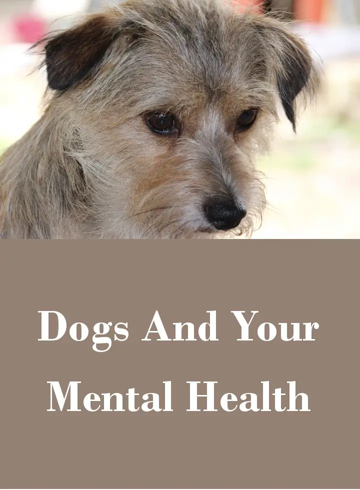 Dogs and Mental Health