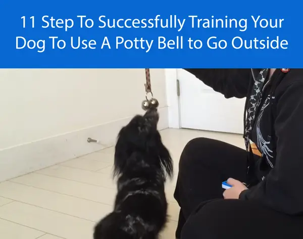 11 Step To Successfully Training Your Dog To Use A Potty Bell to Go Outside