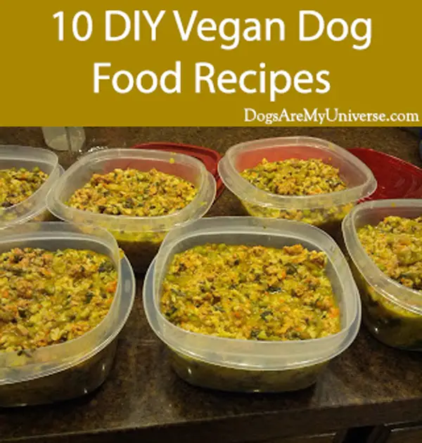 Homemade Whole Foods Plant-Based (Vegan) Dog Food