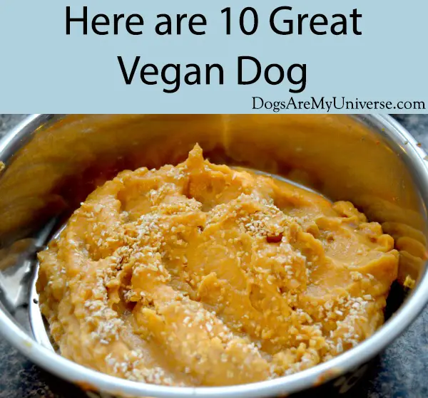 Homemade Vegan Dog Food