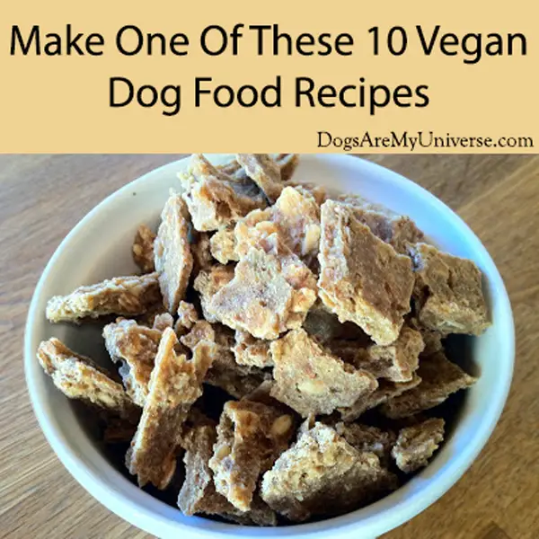 Vegan Dog Treats Containing Oats, Peanut Butter And Miso