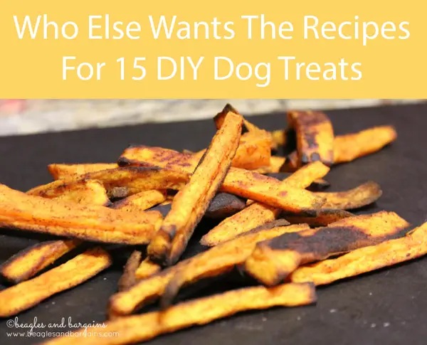 Baked Sweet Potato Fries For Dogs