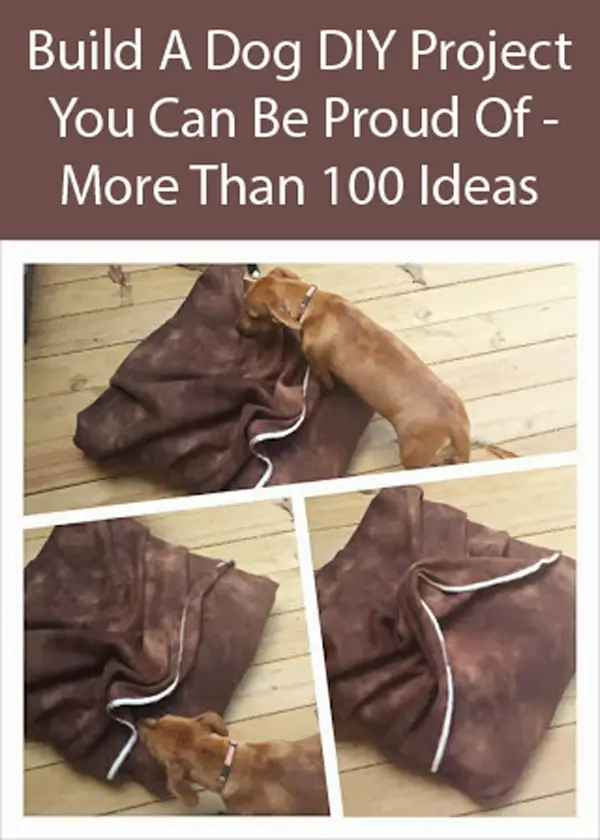 DIY Envelope Dog Bed
