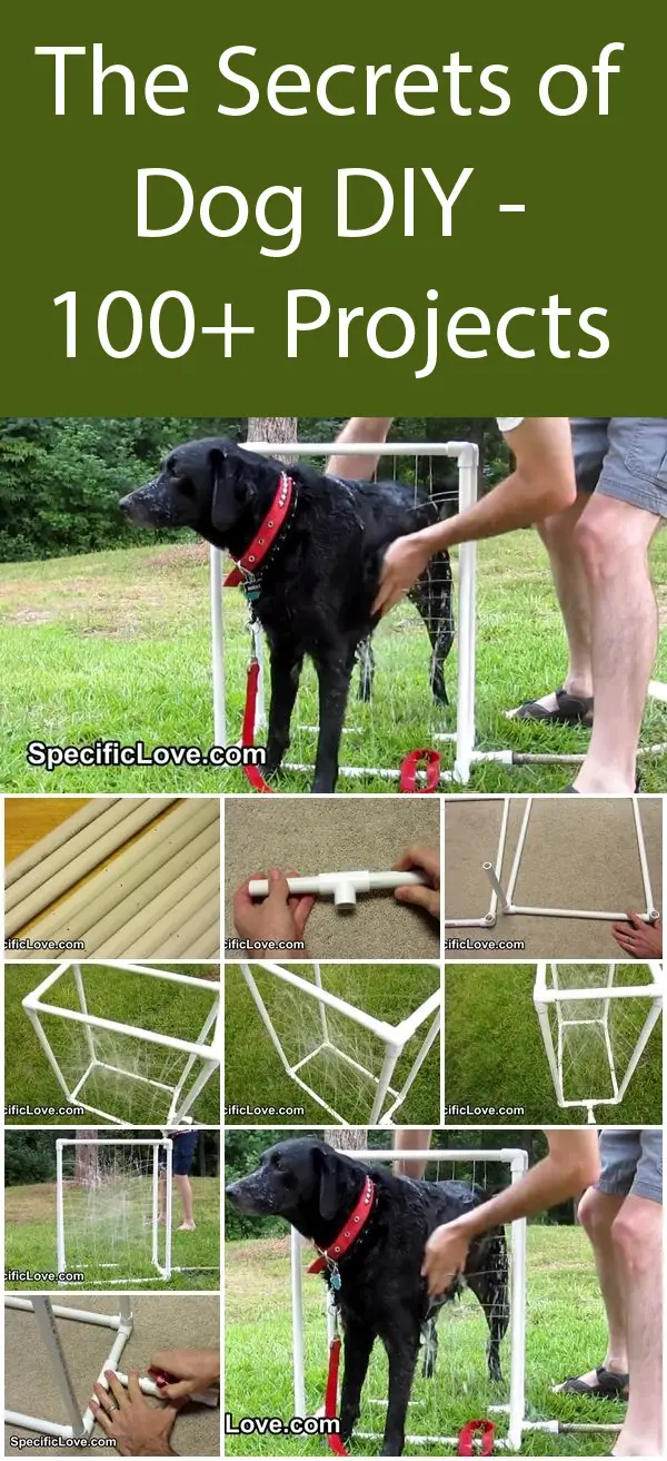 DIY PVC Dog Wash
