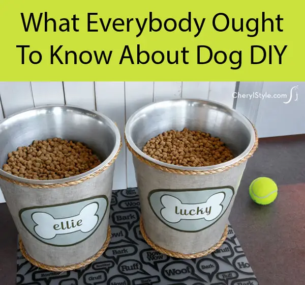 DIY Raised Dog Bowls