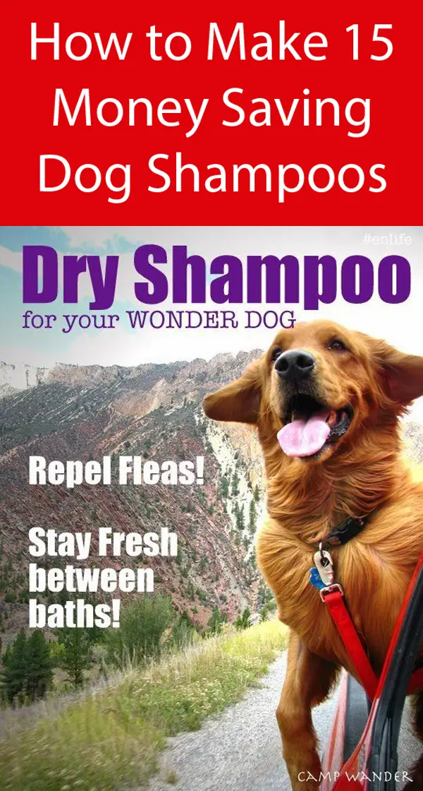 Easy Dry Shampoo For Dogs