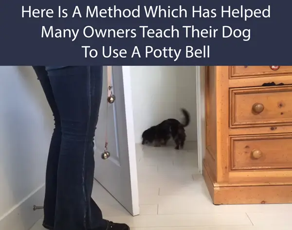 Here Is A Method Which Has Helped Many Owners Teach Their Dog To Use A Potty Bell