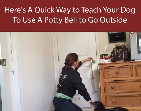 Here's A Quick Way to Teach Your Dog To Use A Potty Bell to Go Outside