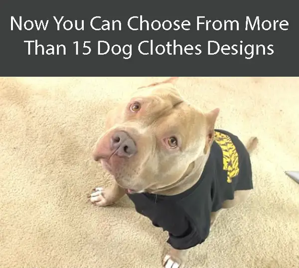 How To Make A Diy Dog Shirt