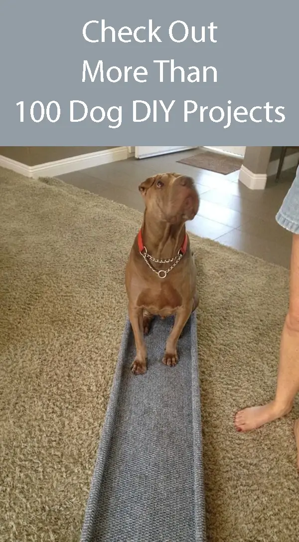 DIY Dog Ramp