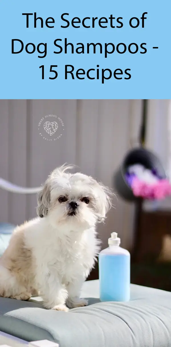 Make It At Home Dog Shampoo