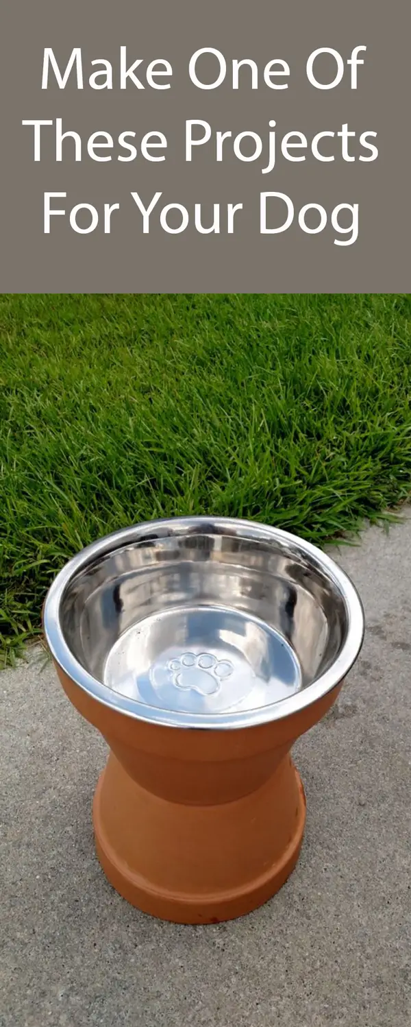 Raised-Dog-Drinking-Bowl