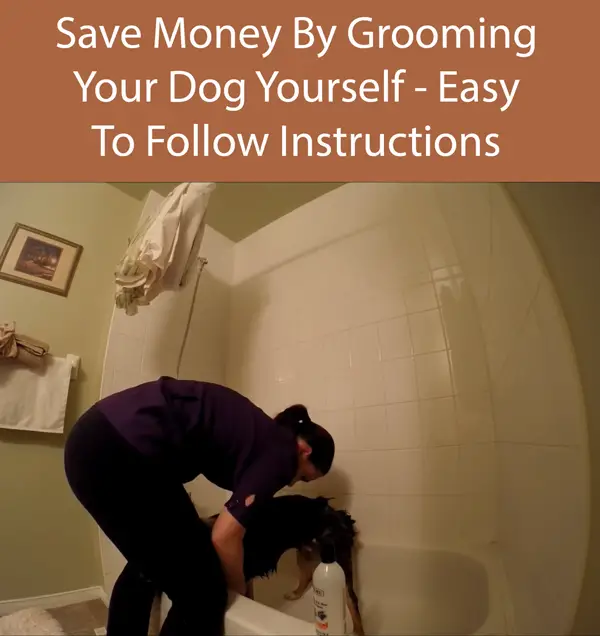 Save Money By Grooming Your Dog Yourself - Easy To Follow Instructions