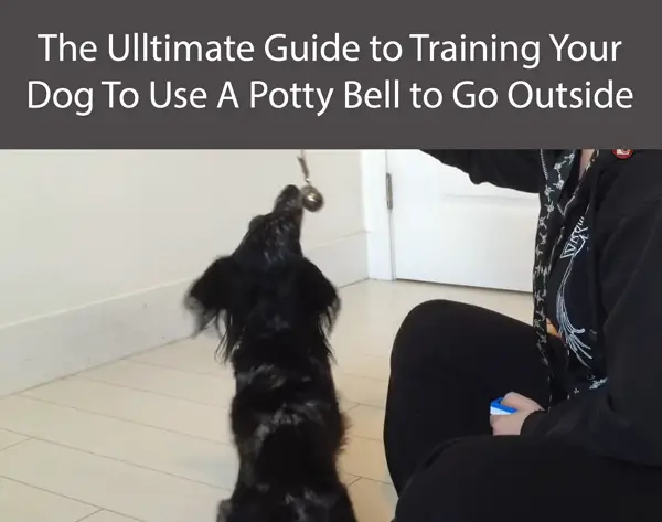 The Ulltimate Guide to Training Your Dog To Use A Potty Bell to Go Outside
