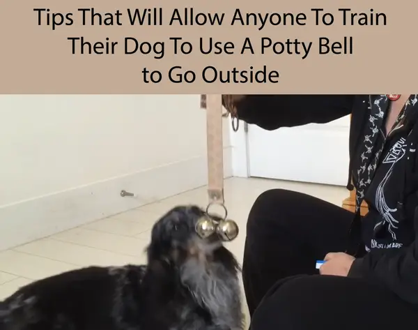 Tips That Will Allow Anyone To Train Their Dog To Use A Potty Bell to Go Outside