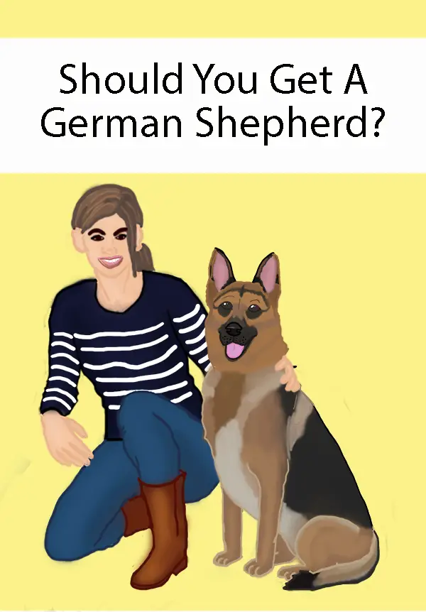 Should You Get A German Shepherd