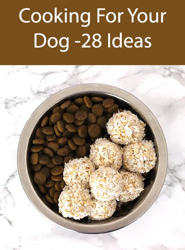 Cooking For Your Dog -28 Ideas