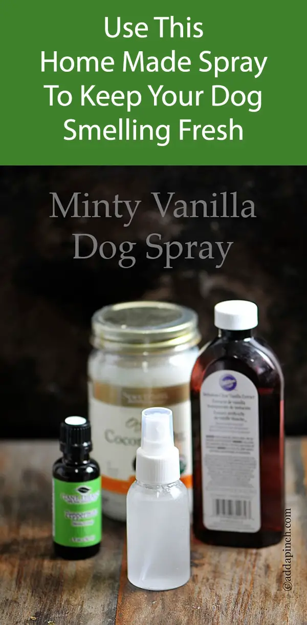 Minty Vanilla Dog Spray
