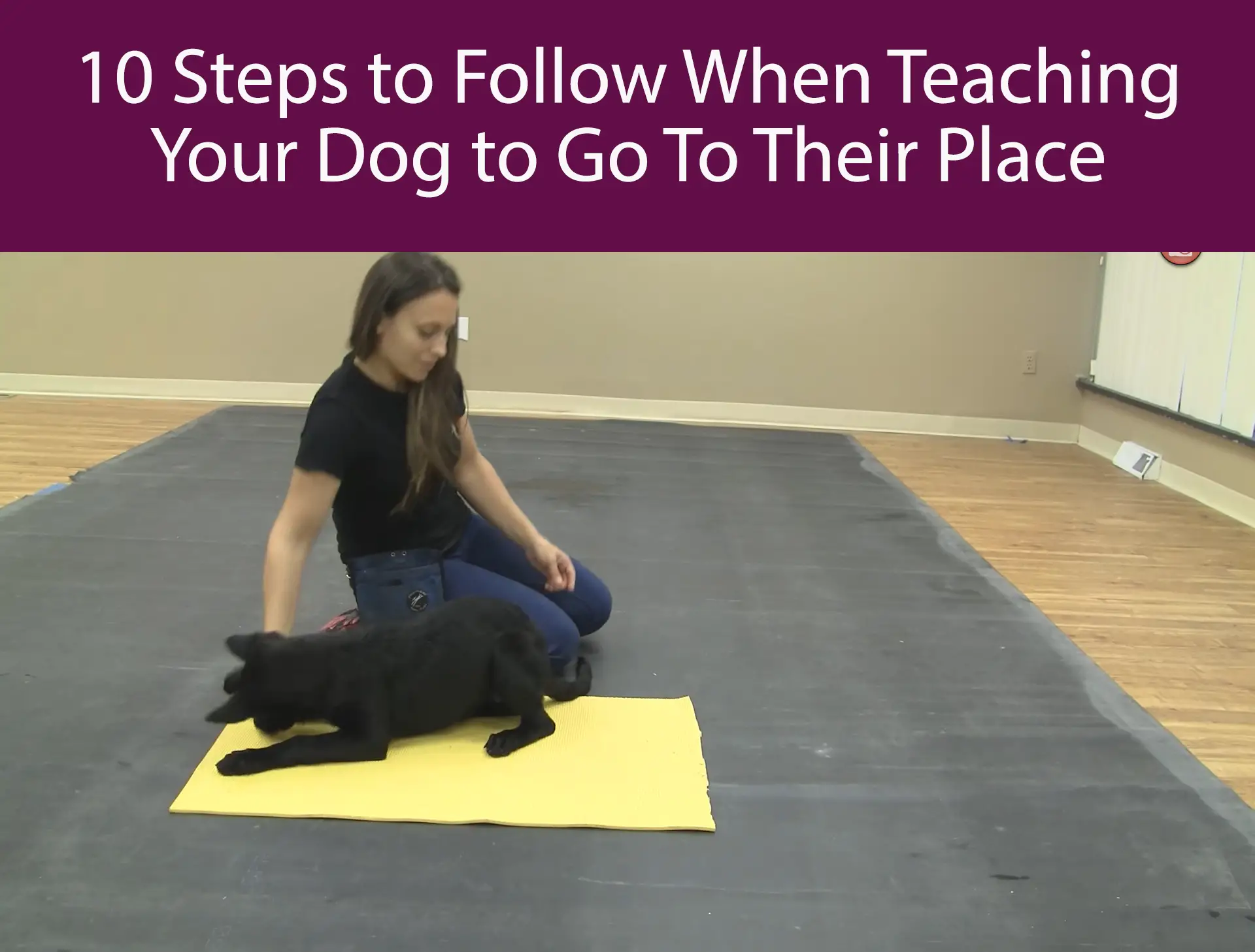 10 Steps to Follow When Teaching Your Dog to Go To Their Place