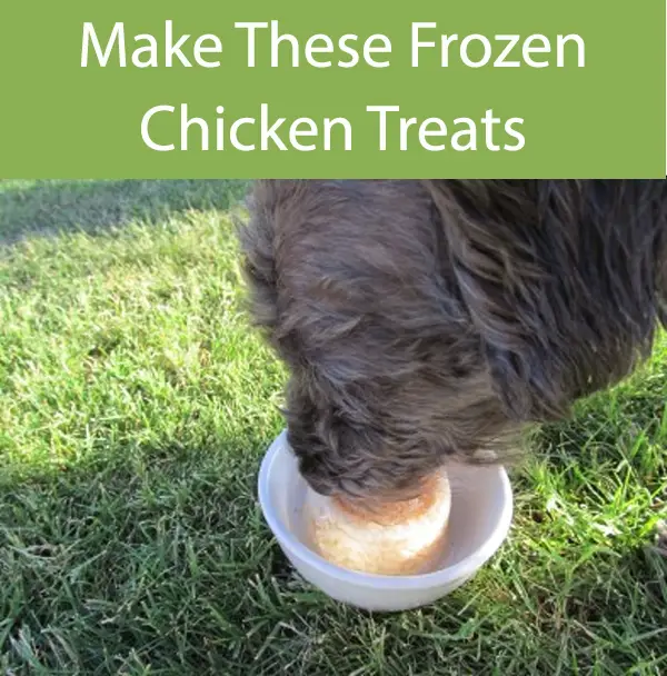 Chicken Pops For Dogs