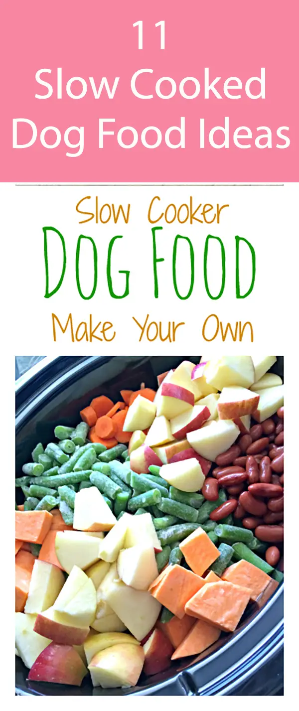 DIY Slow Cooker Dog Food