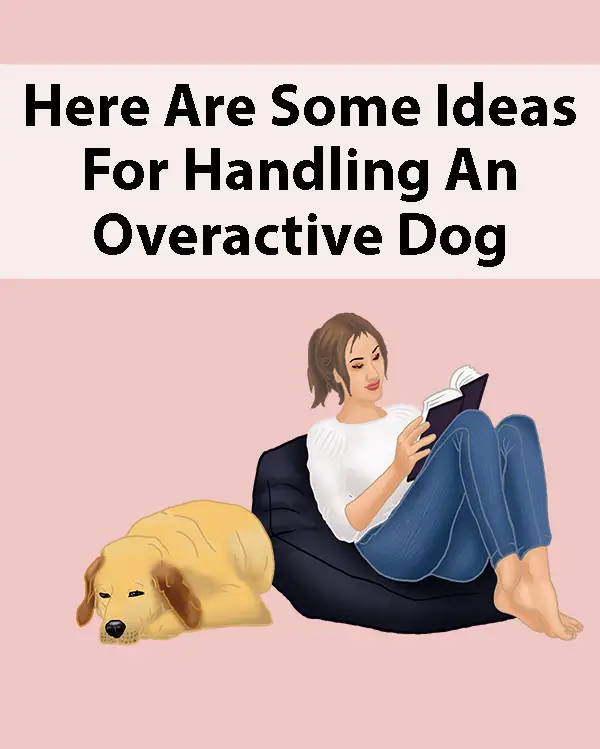 Here Are Some Ideas For Handling An Overactive Dog
