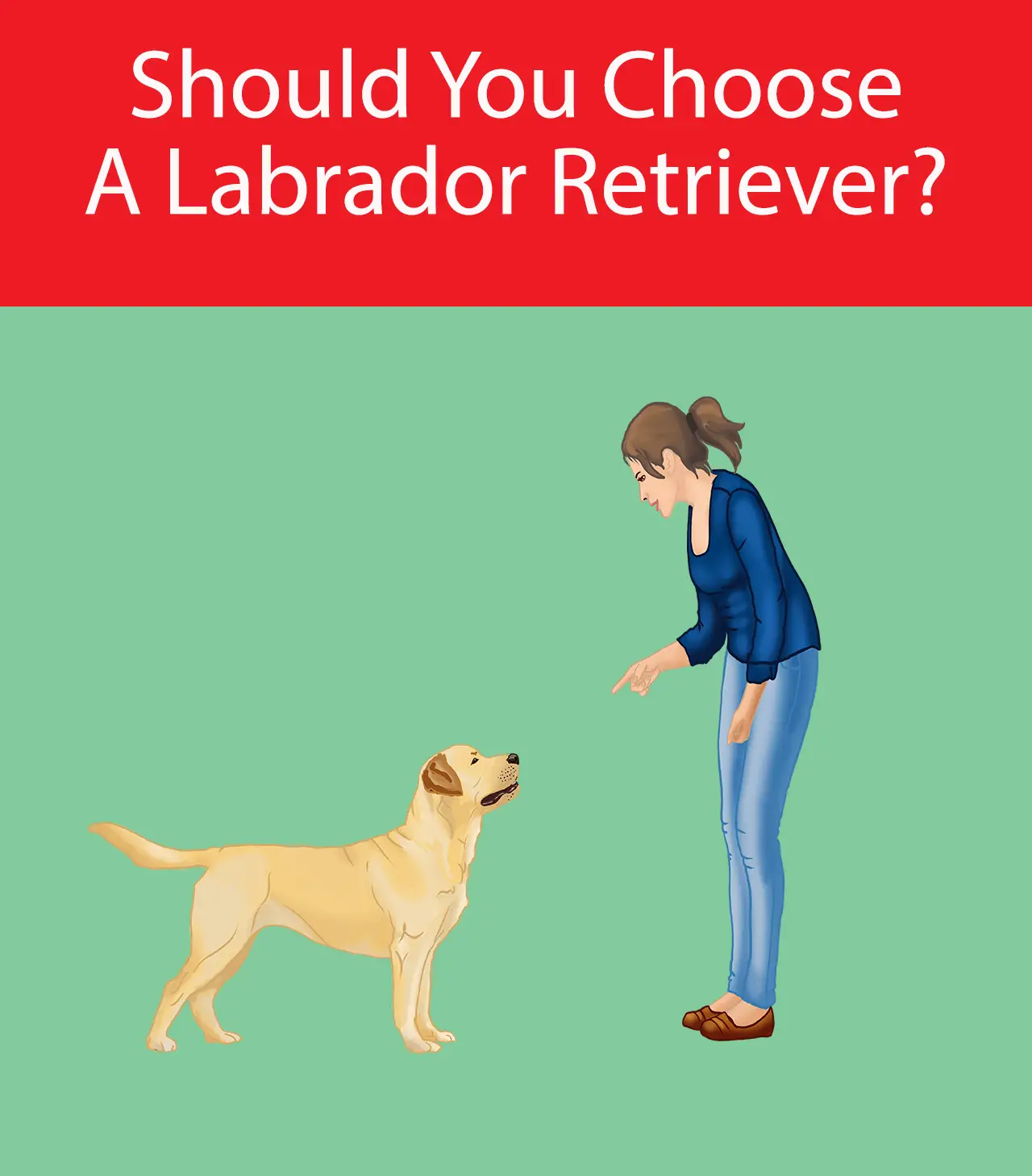 Should You Choose A Labrador Retriever