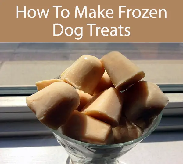 Frozen Yogurt Dog Treat Recipe