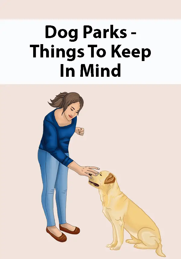 Dog Parks - Things To Keep In Mind