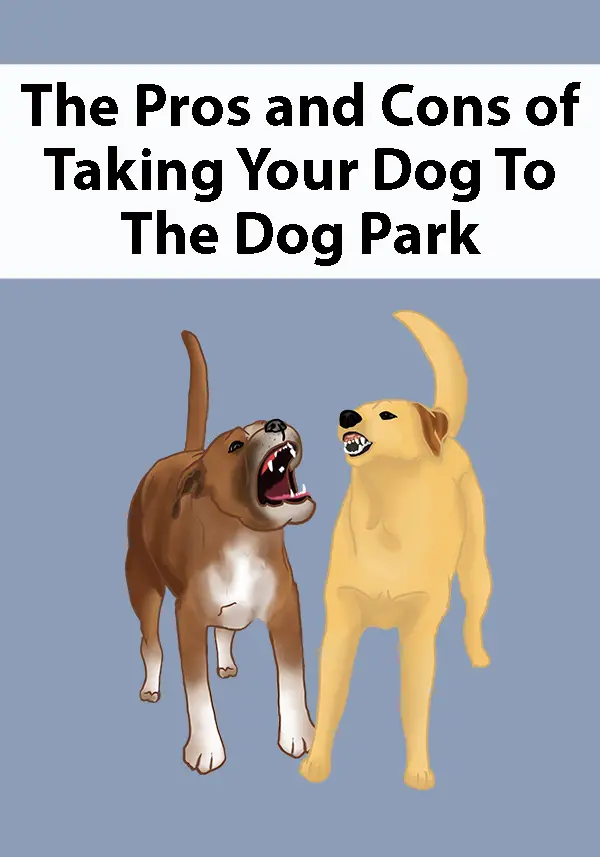 The Pros and Cons of Taking Your Dog To The Dog Park
