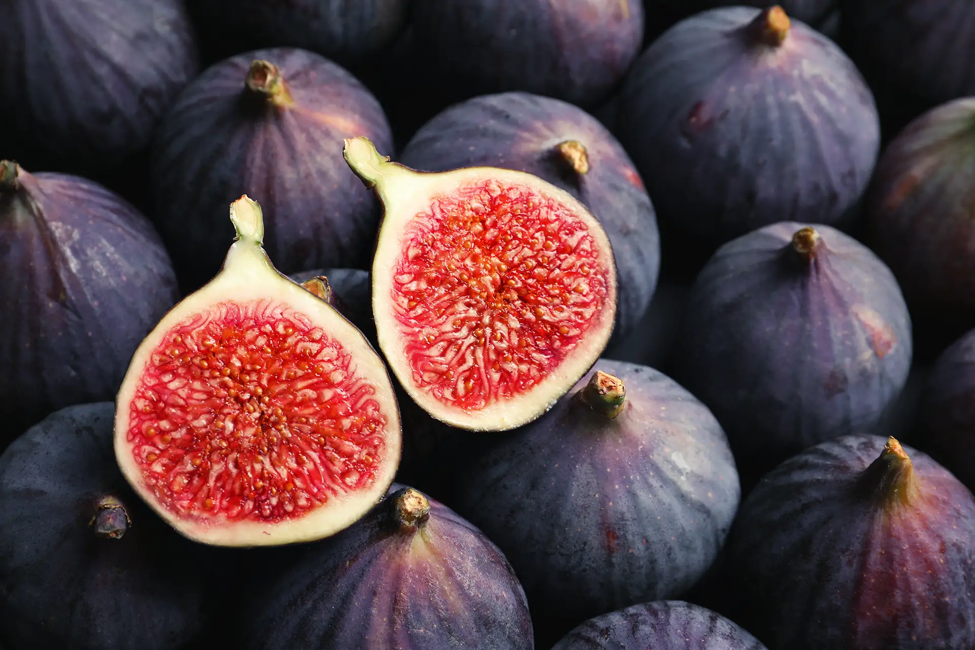 are fresh figs good for dogs
